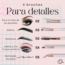 Cargar imagen en el visor de la galería, Set de 14 Brochas Master Set + Pestañas Paloma de regalo