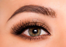 Cargar imagen en el visor de la galería, Pestaña Postiza Paloma Díaz